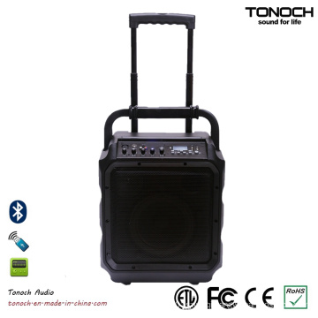 8 Inches Portable Consumer Loud Speaker with Bluetooth and Battery